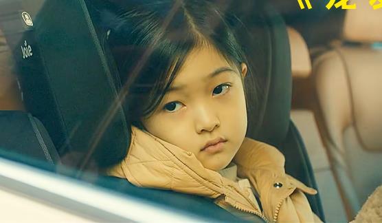 电影《宠爱》爱与陪伴的治愈密码-知乐社