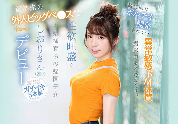芦那しおり(芦那诗织)作品IPX-376封面预览及内容赏析-知乐社