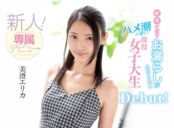 美澄エリカ(美澄惠梨香)作品CAWD-025封面预览及内容赏析-知乐社