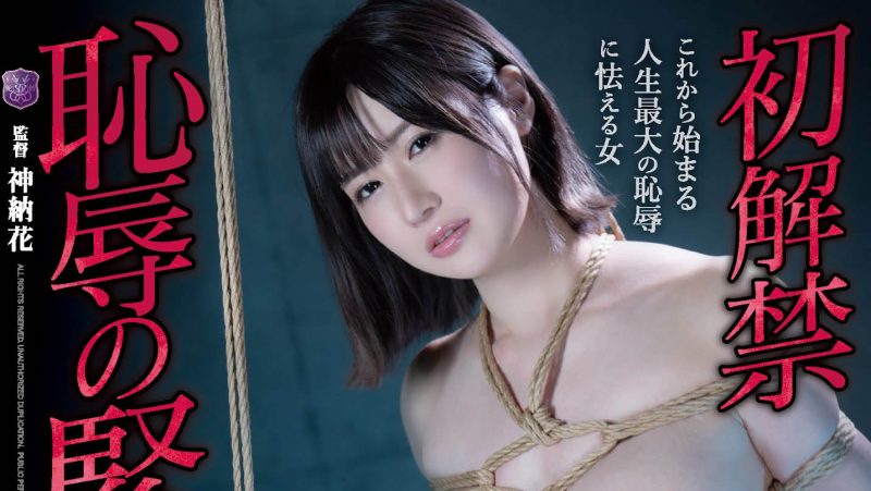 藤森里穂(Fujimori-Riho)作品JBD-272封面预览及内容赏析-知乐社