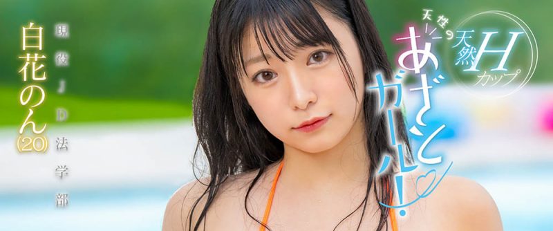 白花のん(白花暖,Shirahana-Non)作品MOGI-061封面预览及内容赏析-知乐社